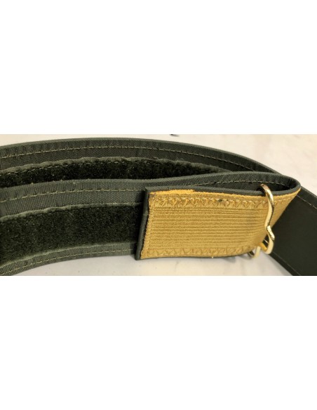 Cinturón de Cuerpos Comunes Sanidad 