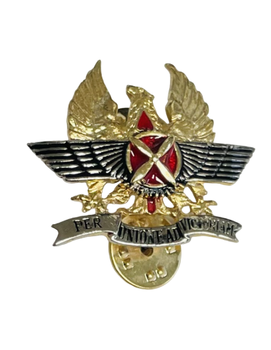 Distintivo de Apoyo Aéreo
