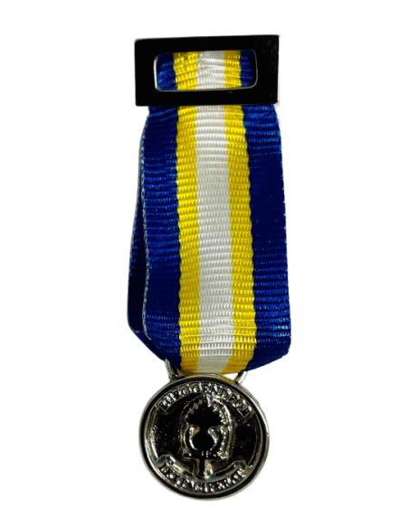 Conjunto completo Medalla Eurogendfor Plata