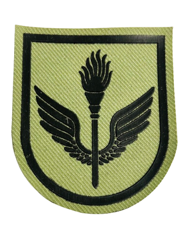 Parche de brazo Brigada Logística Valencia Verde