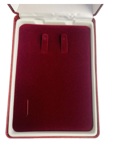 Estuche de Lujo acolchado Ejército de Tierra  2