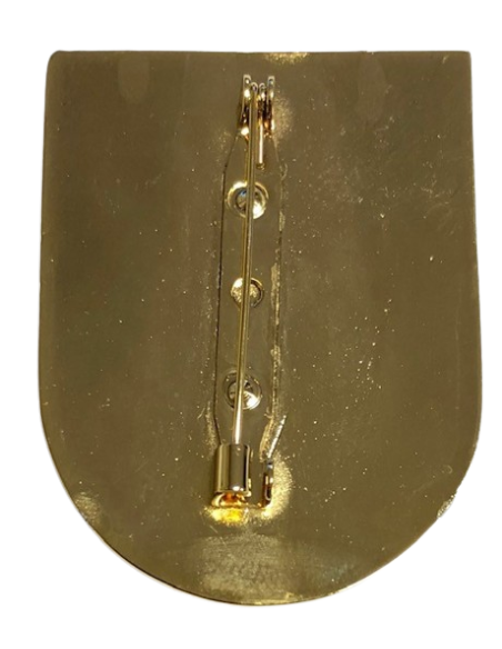 Distintivo AGBS Mención Honorífica (Colores)