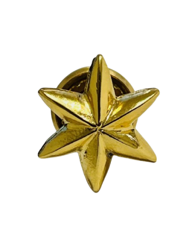 Estrella de 6 Puntas Ejército del Aire - UNIDAD