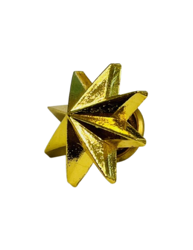 Estrella de 8 Puntas Ejército de Tierra - UNIDAD