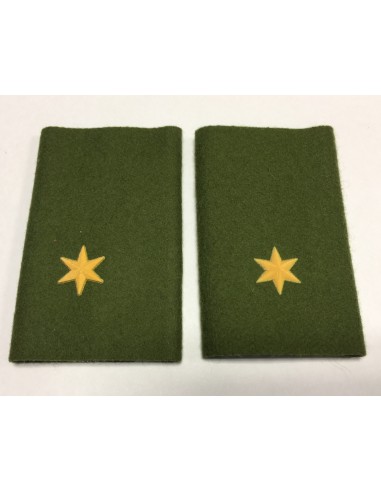 Manguito Goe Ejército de Tierra Alférez (Par)