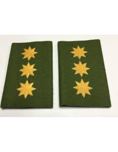 Manguito Goe Ejército de Tierra Coronel (Par)