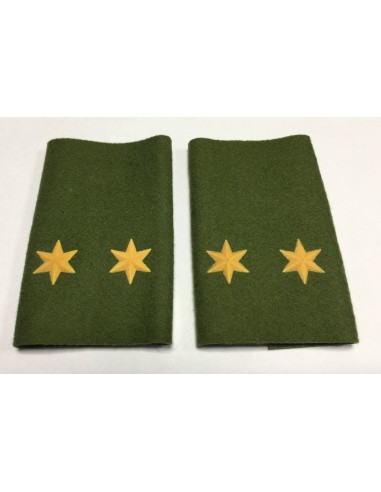 Manguito Goe Ejército de Tierra Teniente (Par)