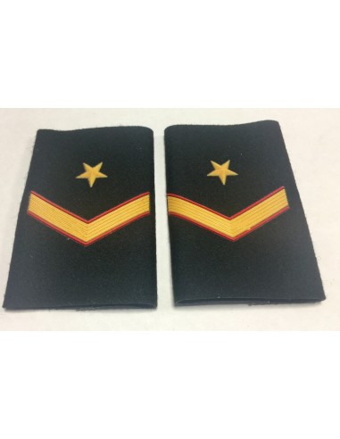 Manguito Caballería Ejército de Subteniente (Par)